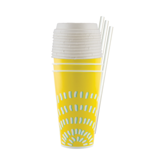 Retail | Paper Cold Cups 300ml + Fiber Lids + Paper Straws