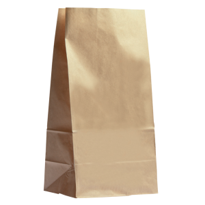 Paper take away bag 34x17.5x11.5cm
