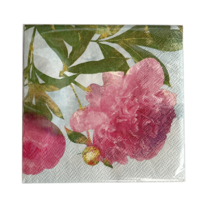 Retail | Paper napkin 25x25cm