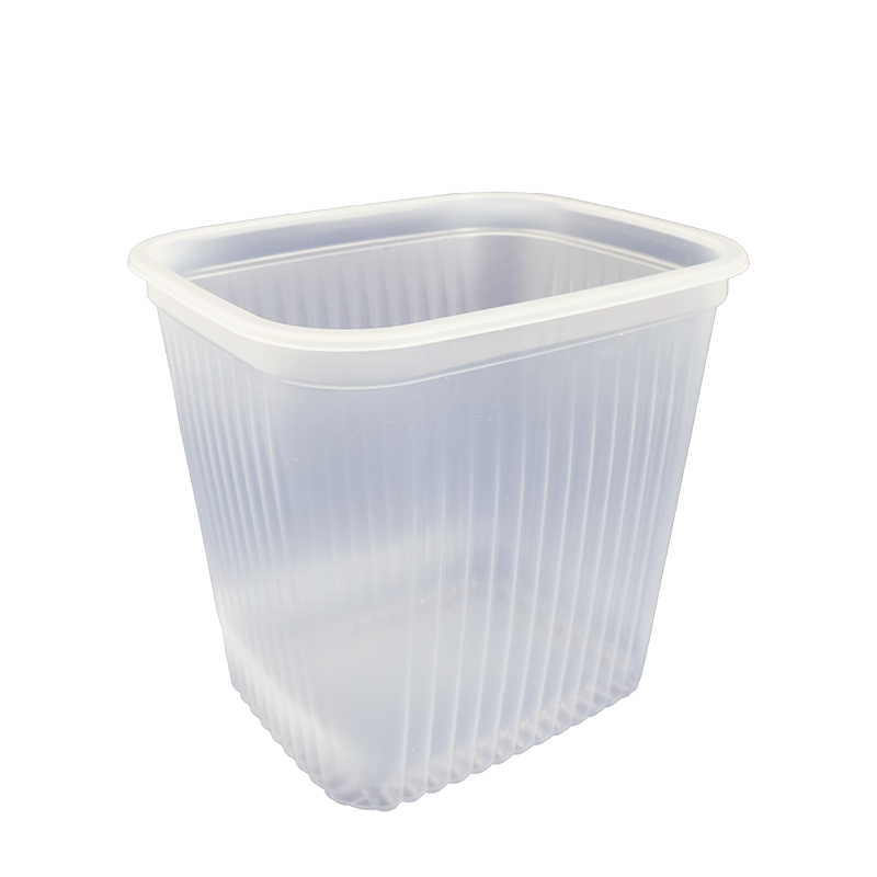 Plastic food container 1000ml