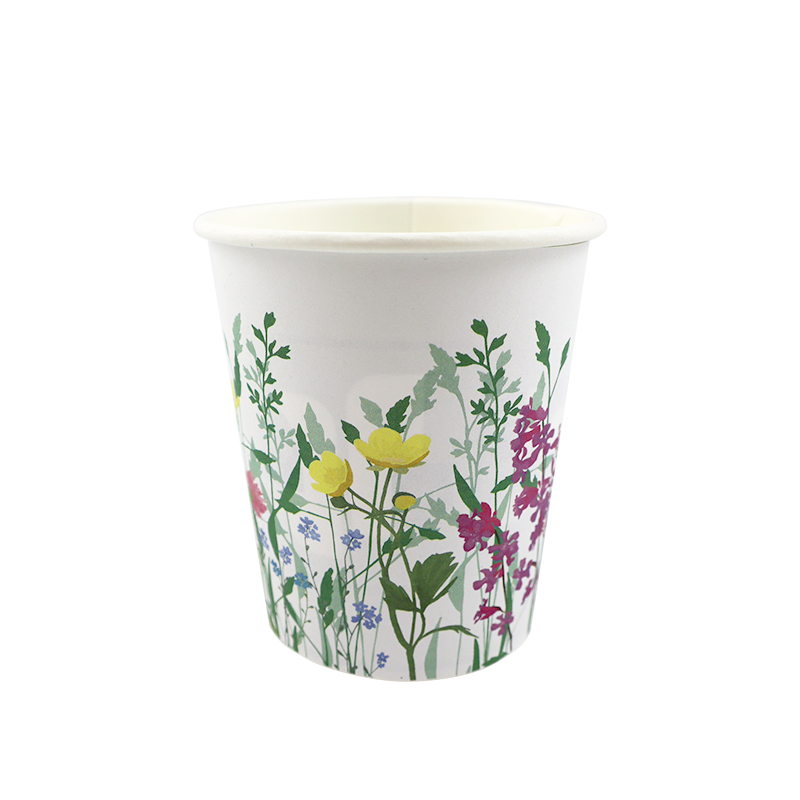 Paper hot cup 250ml Summer