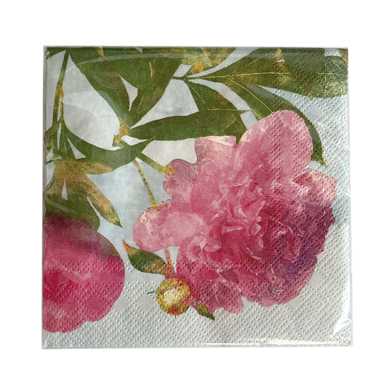 Retail | Paper napkin 25x25cm